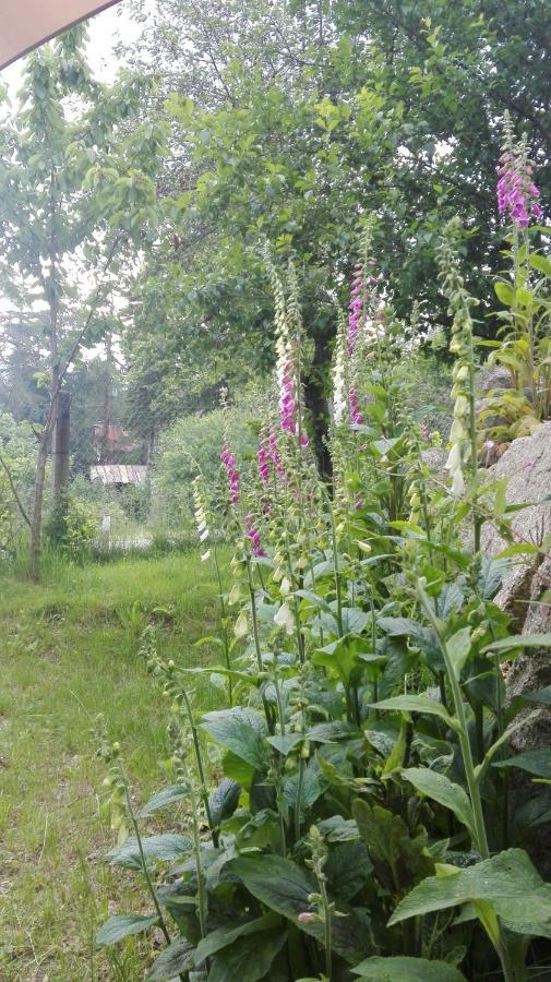 To Tutaj Apartamento Szklarska Poręba Exterior foto