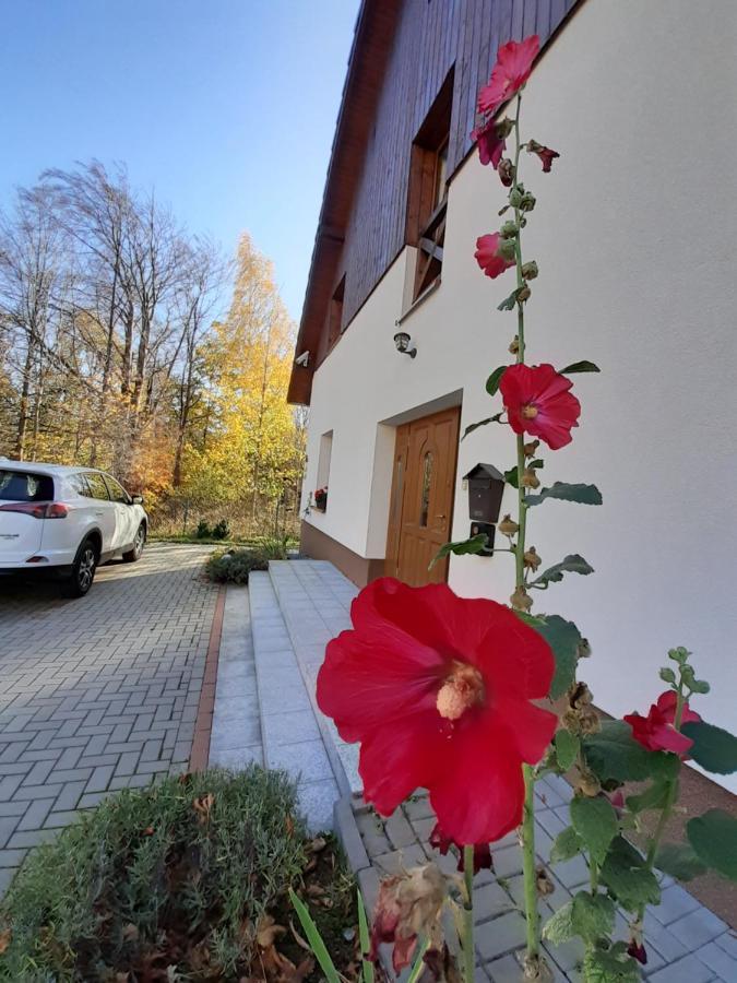 To Tutaj Apartamento Szklarska Poręba Exterior foto